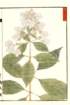 photo23_small.jpg