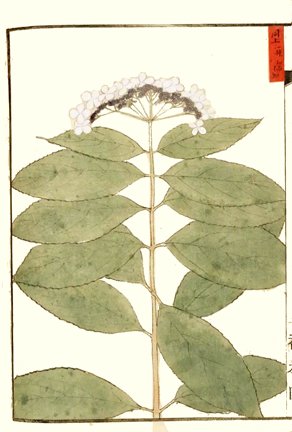 photo24.jpg