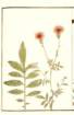 photo28_small.jpg