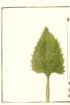 photo2_small.jpg