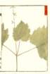 photo31_small.jpg