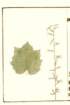 photo32_small.jpg