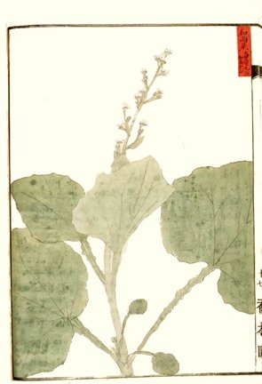 photo34.jpg