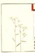photo38_small.jpg
