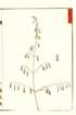 photo39_small.jpg