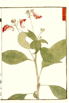 photo7.jpg