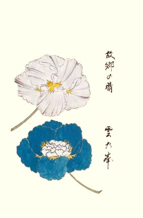 photo12.jpg