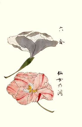 photo14.jpg
