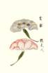photo17_small.jpg