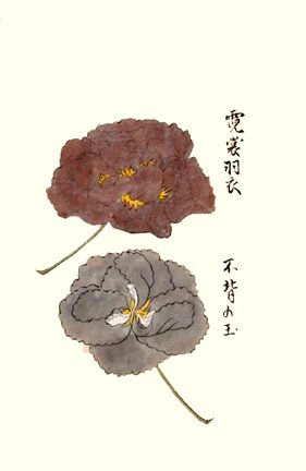 photo18.jpg