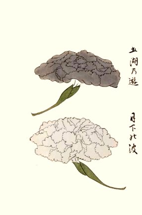photo19.jpg