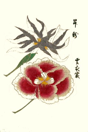 photo3.jpg