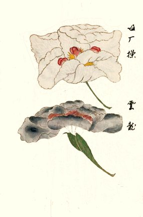 photo4.jpg