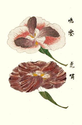 photo6.jpg