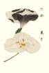 photo7_small.jpg