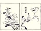 photo12_small.jpg
