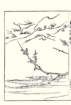 photo16_small.jpg