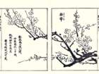 photo21_small.jpg