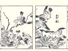 photo5_small.jpg