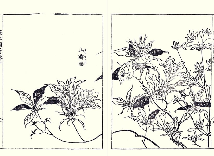 photo10.jpg