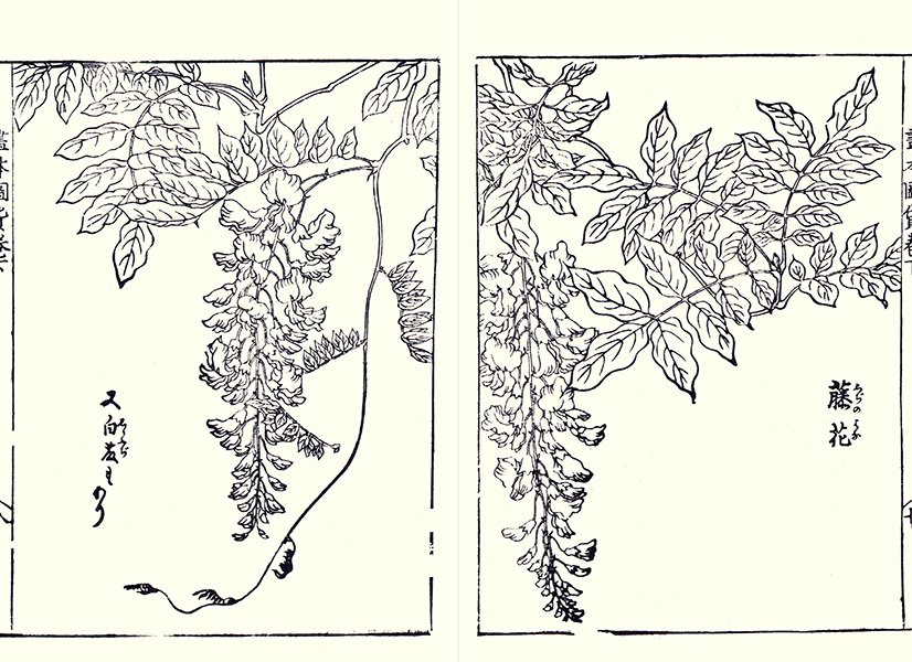 photo16.jpg