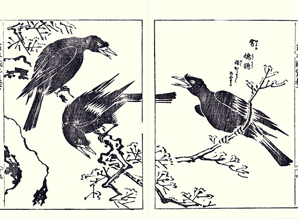photo19.jpg