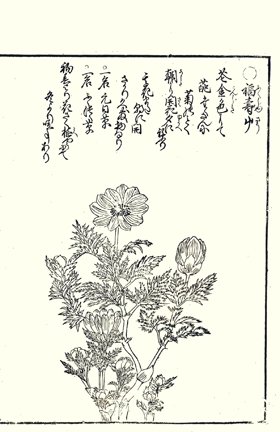photo.jpg
