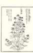 photo100_small.jpg