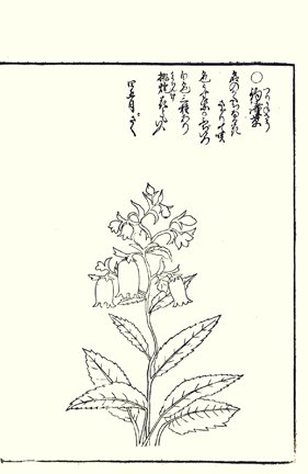 photo103.jpg