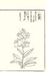 photo103_small.jpg