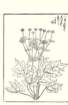 photo104_small.jpg