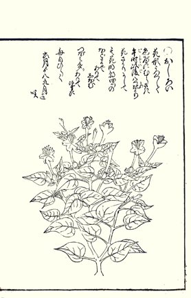 photo105.jpg