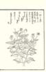 photo105_small.jpg