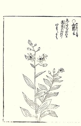 photo108.jpg