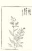 photo108_small.jpg