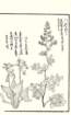 photo109_small.jpg