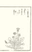 photo11_small.jpg
