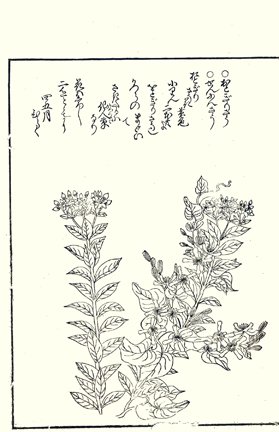 photo12.jpg