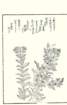 photo12_small.jpg
