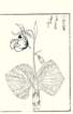 photo13_small.jpg