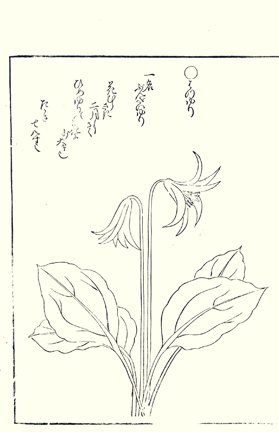 photo14.jpg