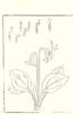 photo14_small.jpg