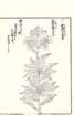 photo15_small.jpg