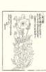 photo16_small.jpg