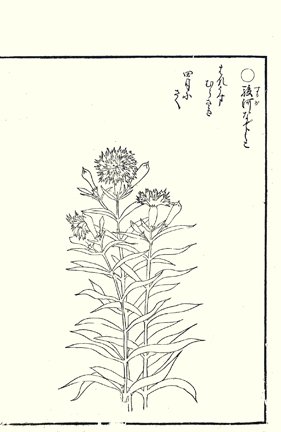 photo17.jpg