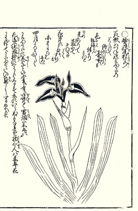 photo19.jpg