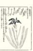 photo19_small.jpg