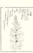 photo20_small.jpg