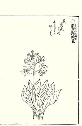 photo21.jpg