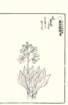 photo21_small.jpg